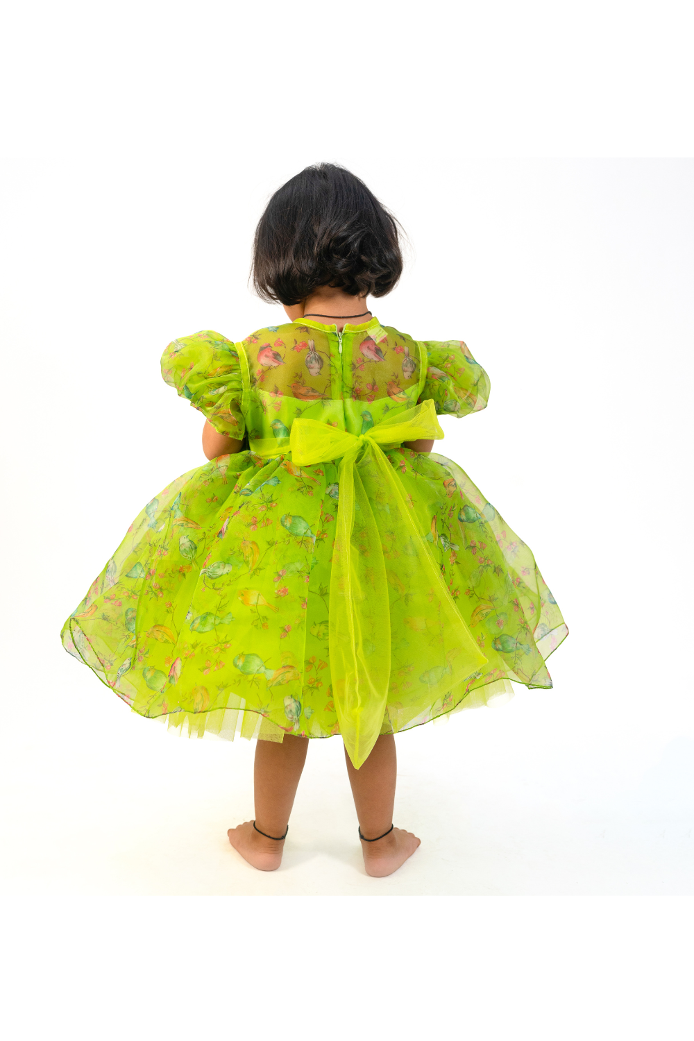 Green Bird Organza Printed Front Flowered Design Style Dress