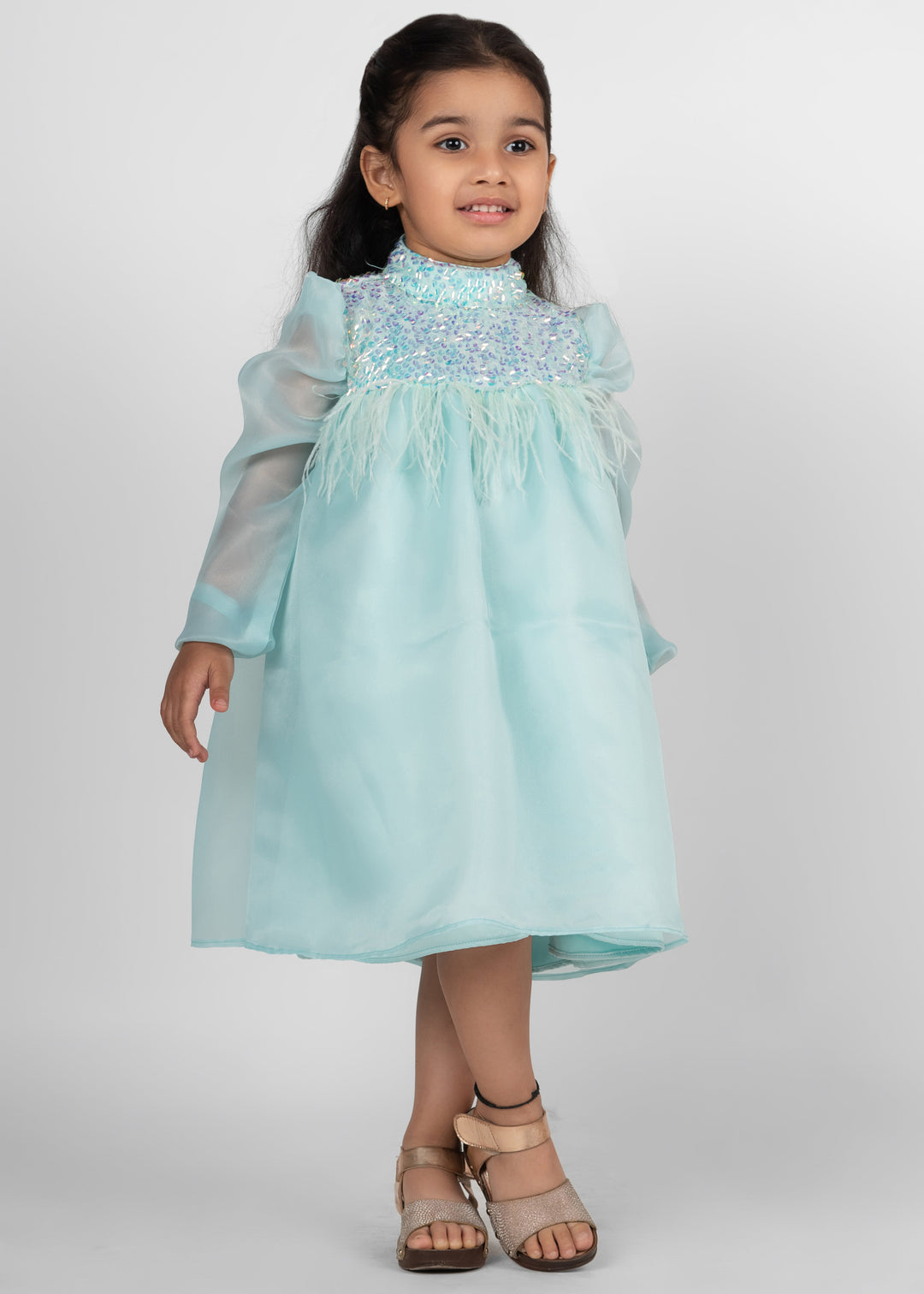 Sea green Organza Sequence Puff Sleeves Dress