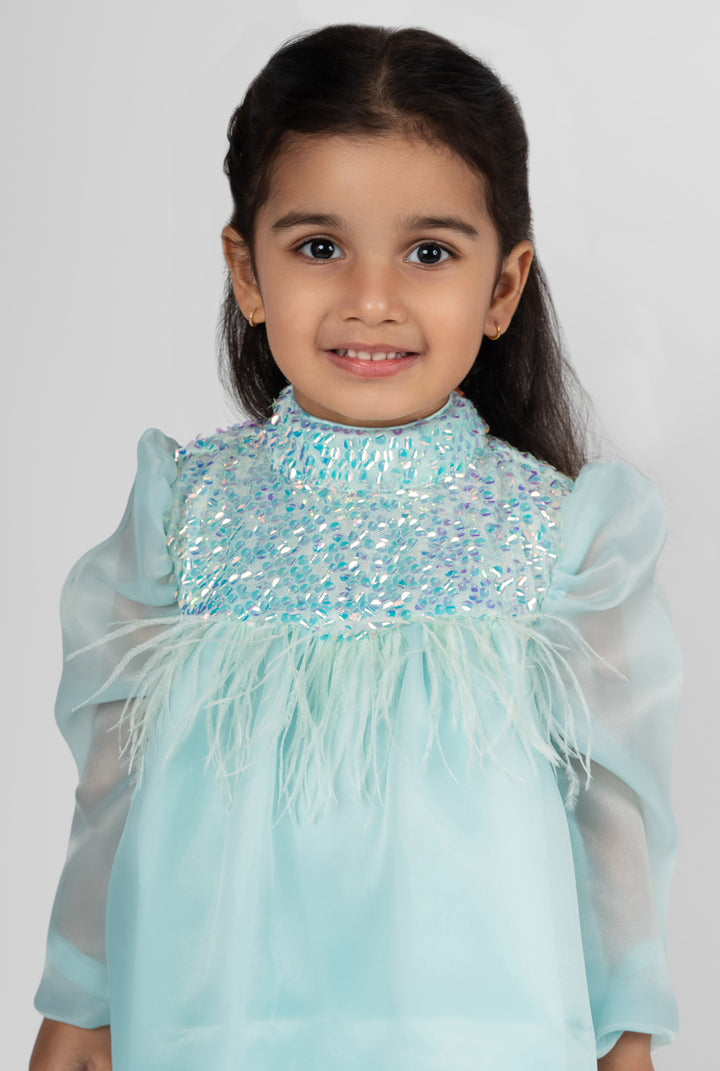 Sea green Organza Sequence Puff Sleeves Dress