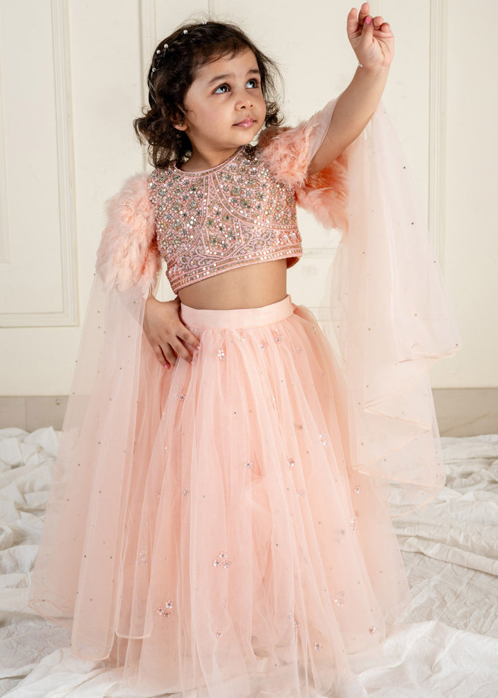 Peach Stone Net Feather Sleeves Top With Ghaghara Set