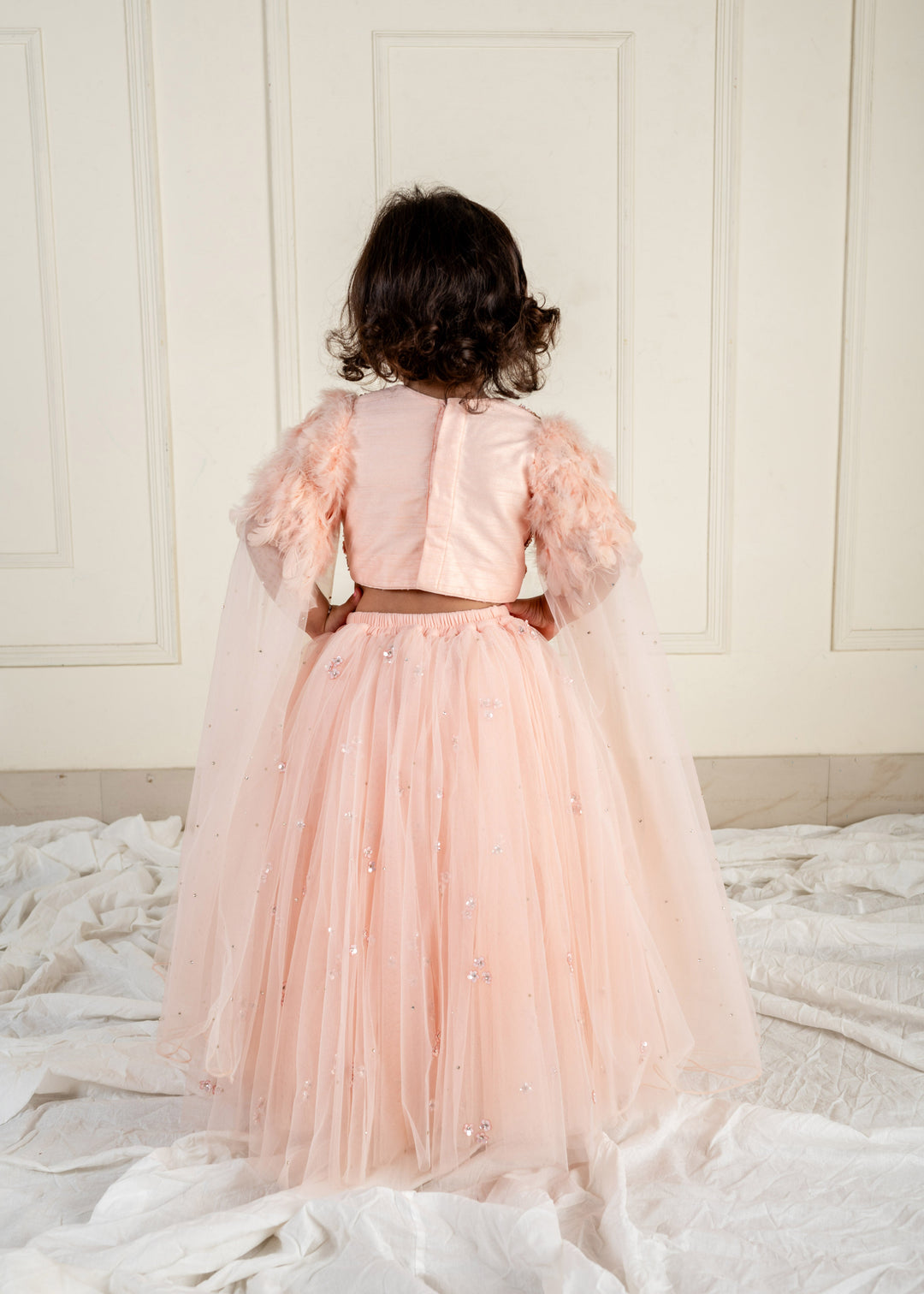 Peach Stone Net Feather Sleeves Top With Ghaghara Set