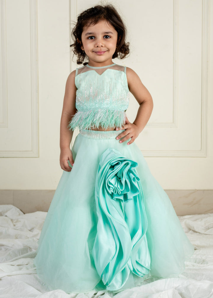 Sea Green Net Embroidered Top With Ghaghara Set