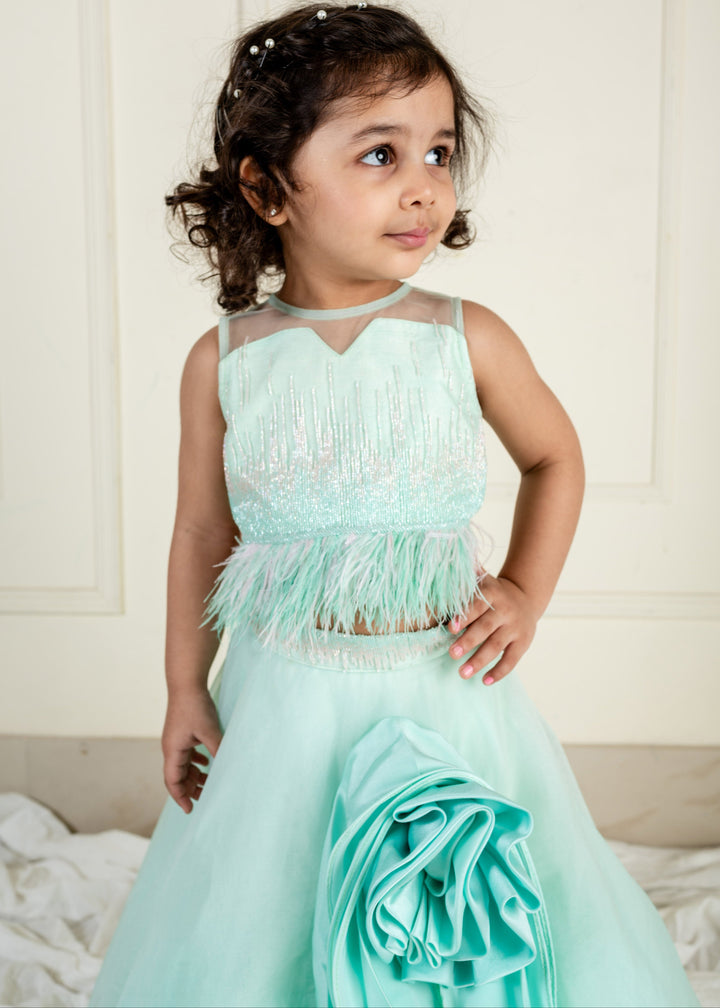 Sea Green Net Embroidered Top With Ghaghara Set