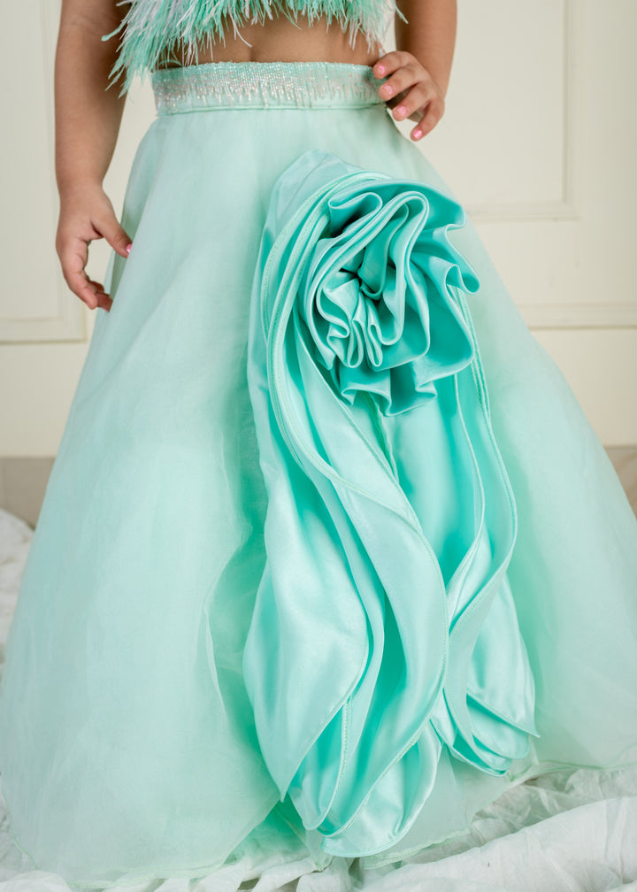 Sea Green Net Embroidered Top With Ghaghara Set