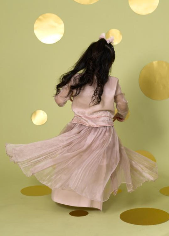 Ivory Handwork Embroidery Bird Top With Skirt Set