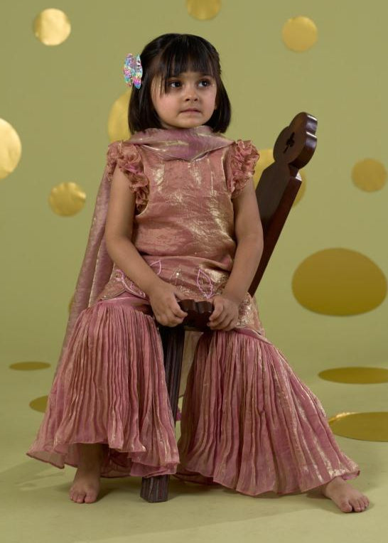 Pink Handwork Embroidery Bird Kurta With Sharara Set