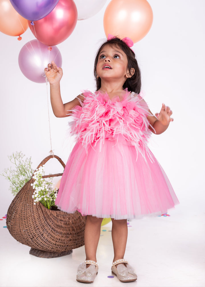 Pink Ruffle Feather Detailing Net Dress