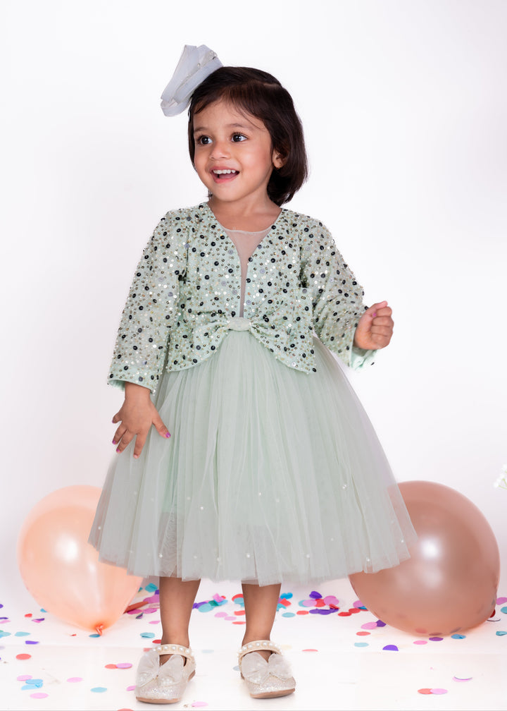 Mint Green Taffeta Heavy Embellished Net Dress