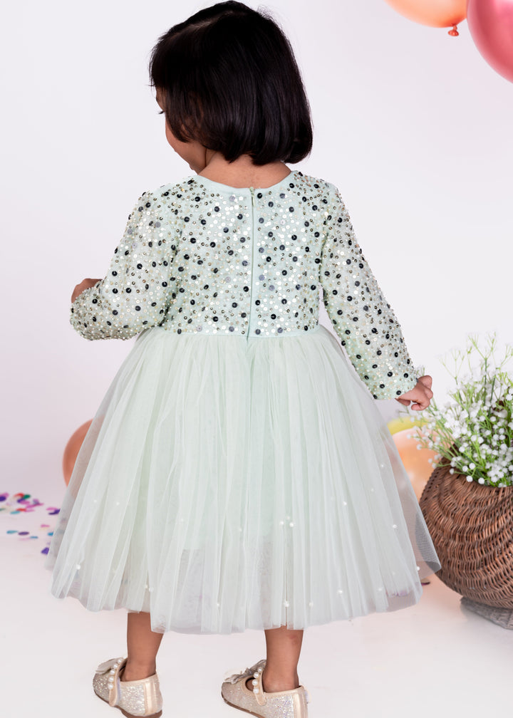 Mint Green Taffeta Heavy Embellished Net Dress