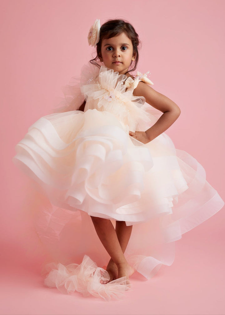 Peach Butterfly & Pearl Deatailing One shouder Ruffle Dress