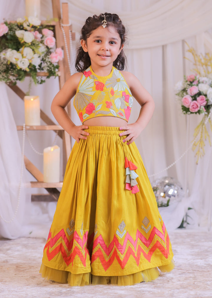 Mustard Silk Multicolored Embroidery Top With Ghagra Set