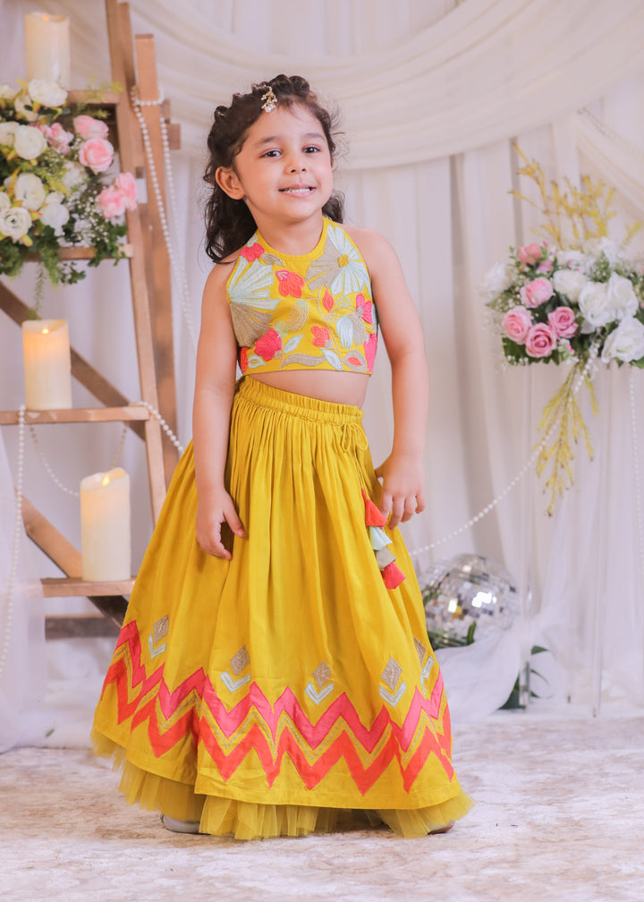 Mustard Silk Multicolored Embroidery Top With Ghagra Set