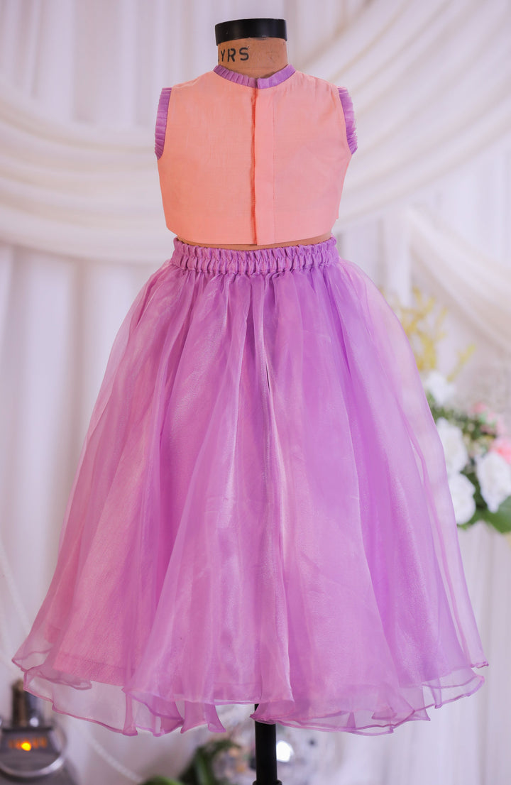 Lilac Peach Embroidered Organza Top With Ghagra Set