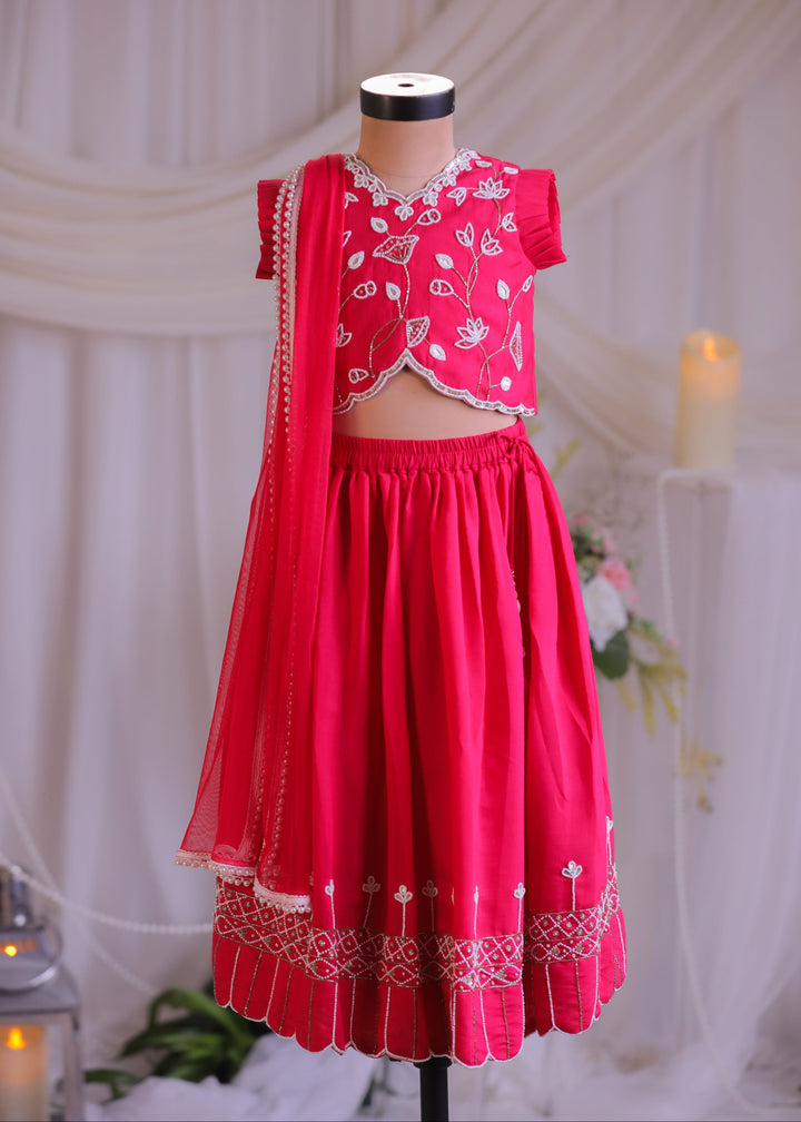 Pink Tulip Embroidered Silk Top With Ghagra Set