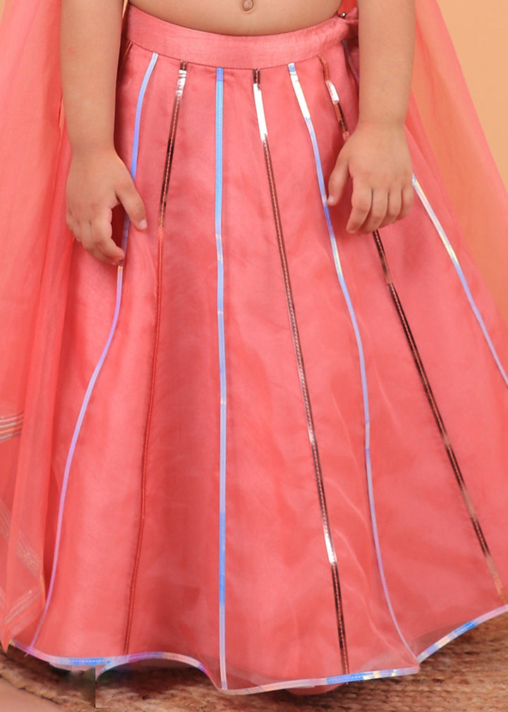 Pastel Pink Embroiderd Crop Top With Organza Layer Lehenga And Attached Dupatta Set