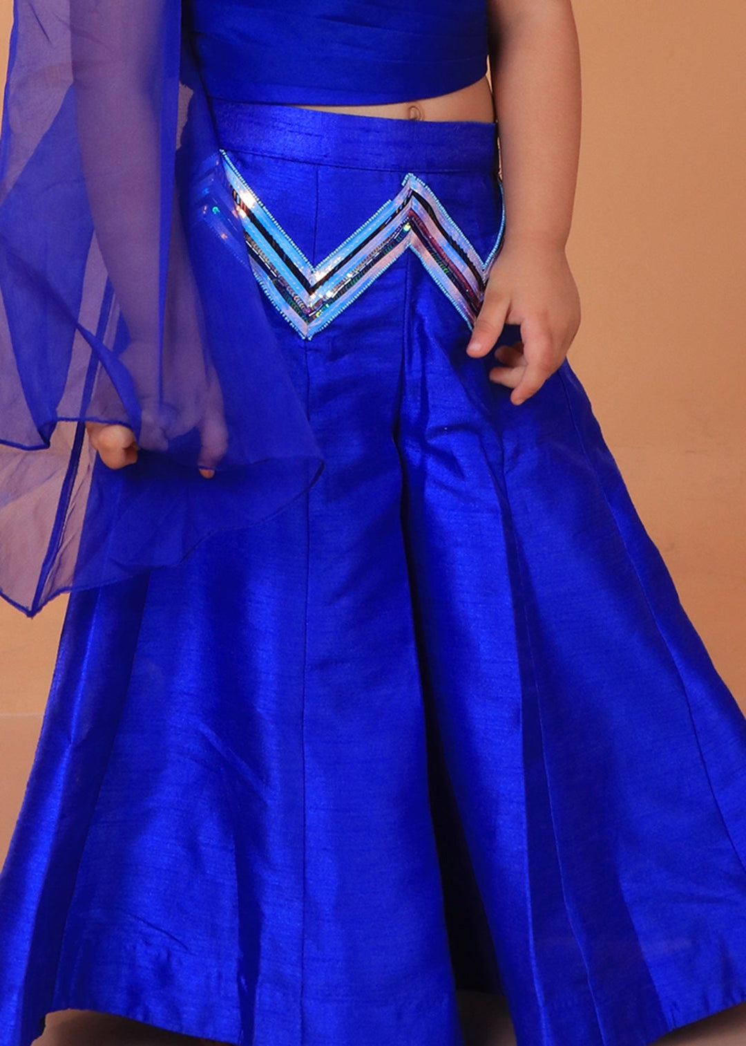 Blue Pleated Organza Top With Embroidery Paired With Sharara Set