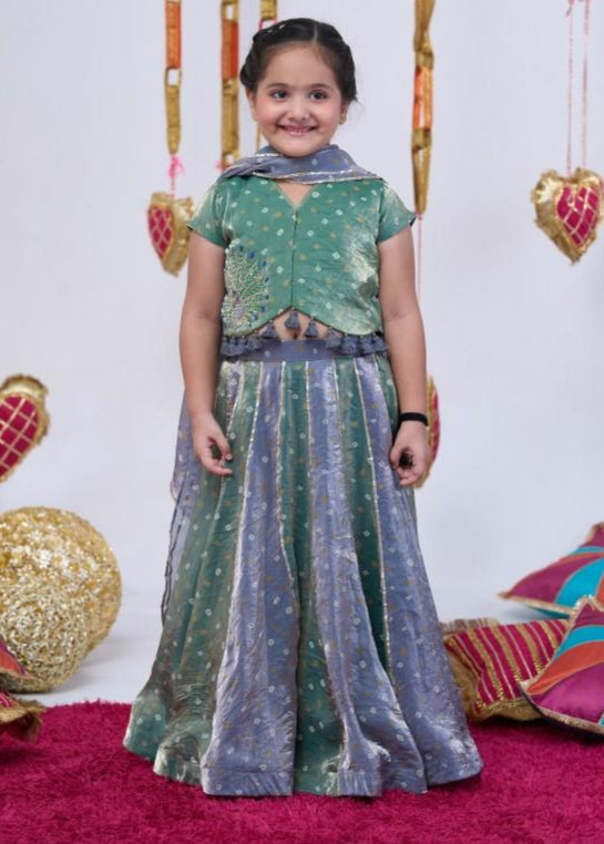 Rust Handwork Peacock Bandhani Top With Lehenga Set