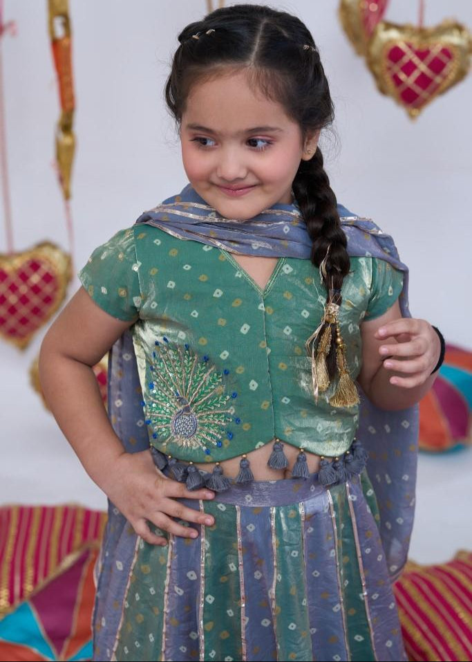Rust Handwork Peacock Bandhani Top With Lehenga Set