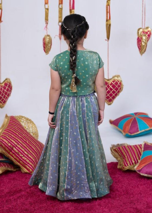 Rust Handwork Peacock Bandhani Top With Lehenga Set