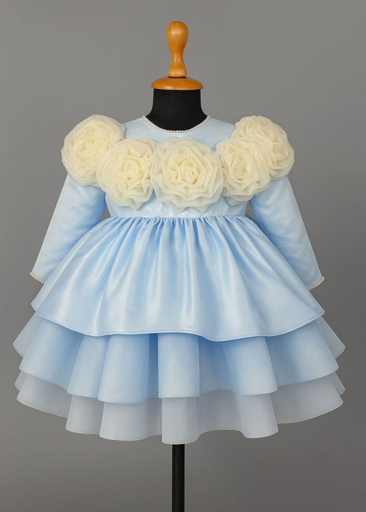 Blue Flower Detailing Body Premium Layer Frock