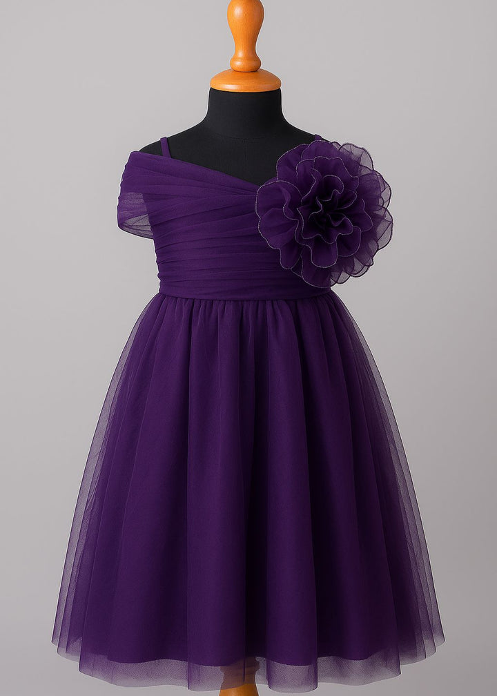 Royal Plum Soft Net Plum Princess Dress