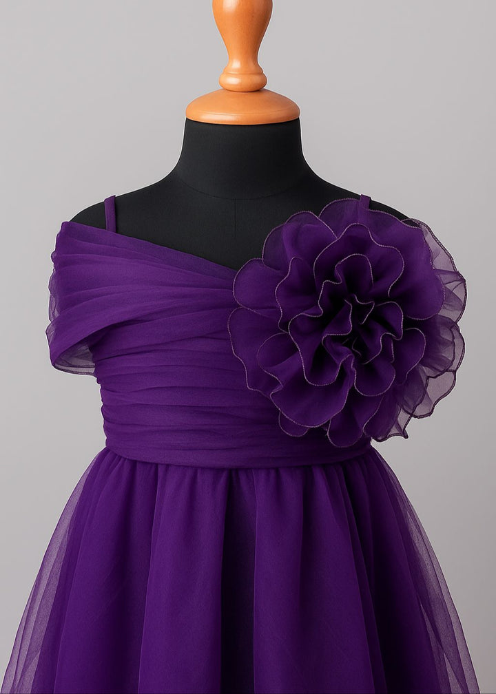 Royal Plum Soft Net Plum Princess Dress