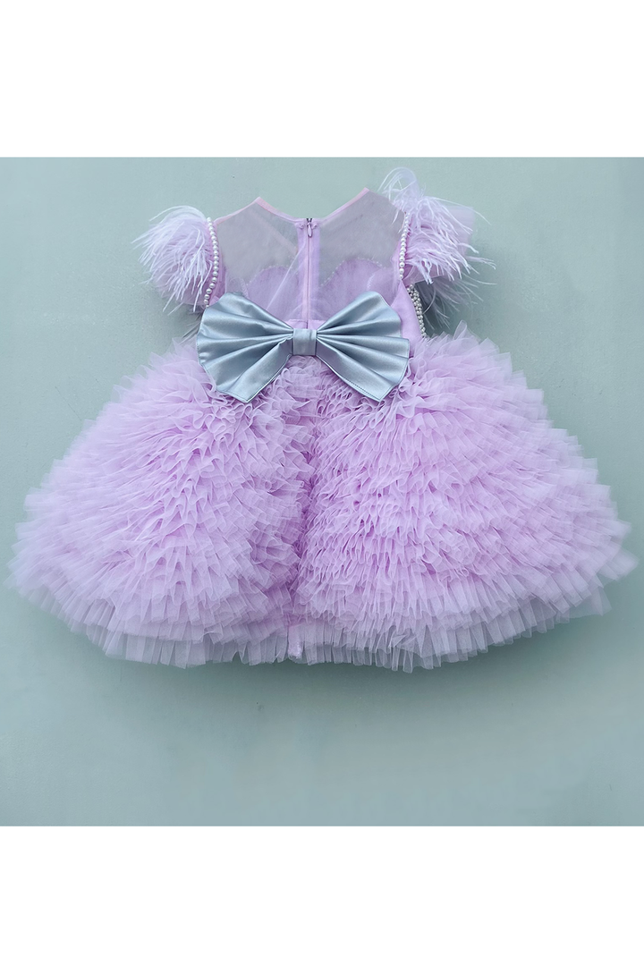 Pearl detailing yoke with feather sleeves dress