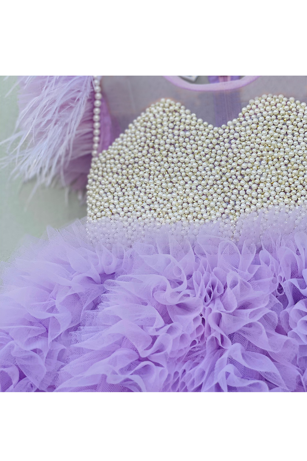 Pearl detailing yoke with feather sleeves dress
