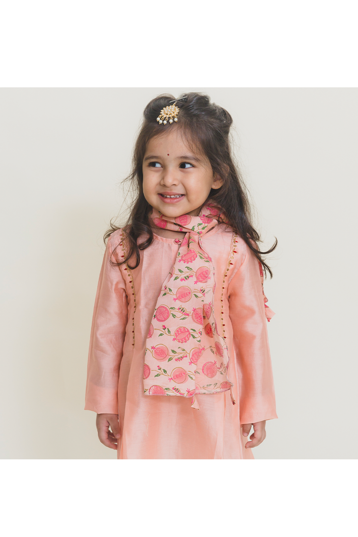 Box pleated kurta pant stole set