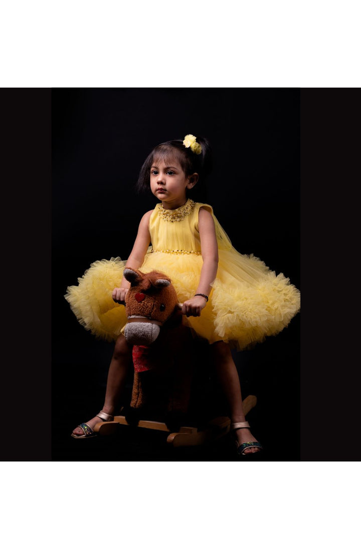 Yellow Pearl Detailing Net Frill Dress