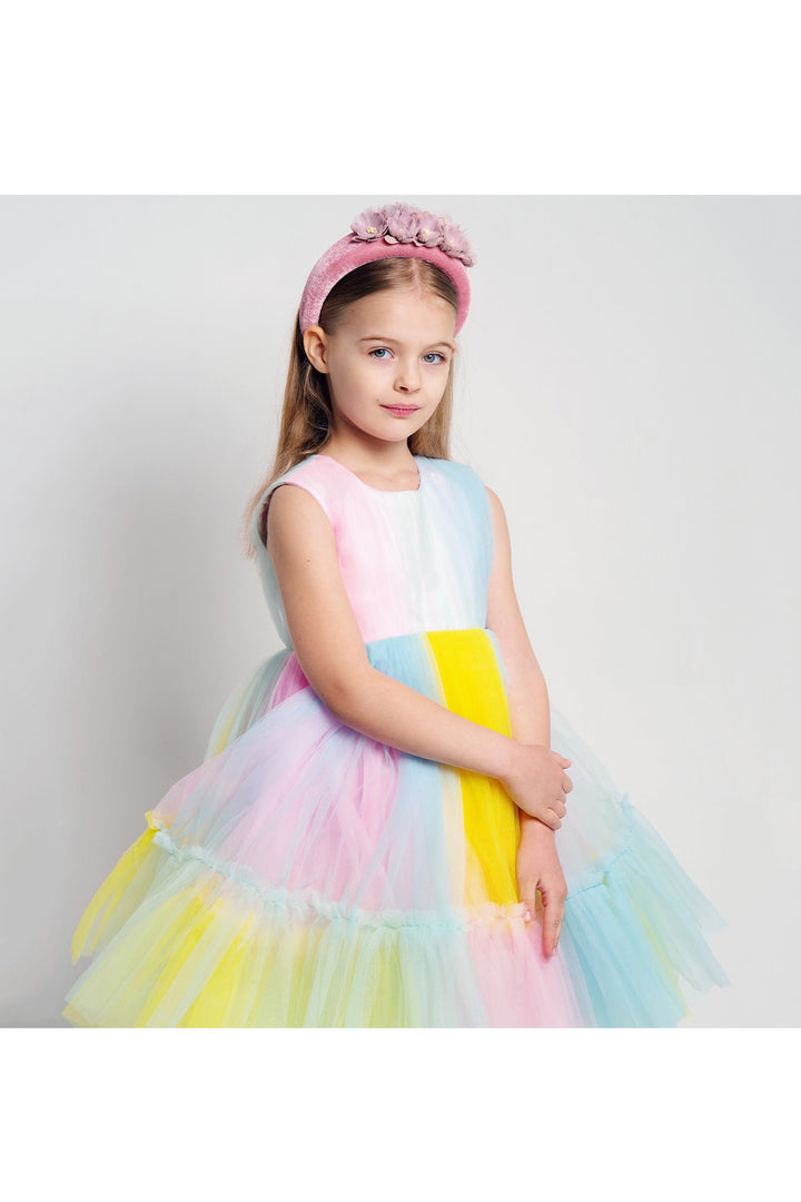 Multicolor Net Frill Dress