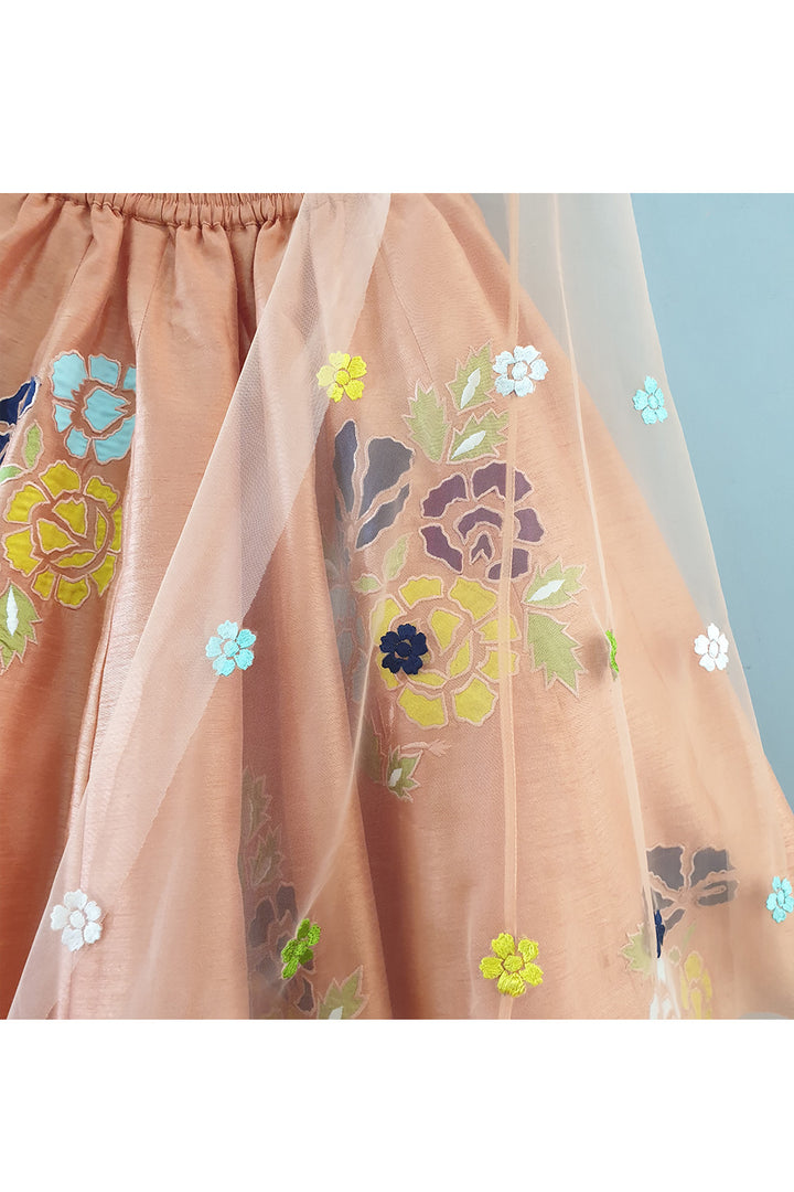 Peach Flower Embroidered Flared Top With Lehenga Set