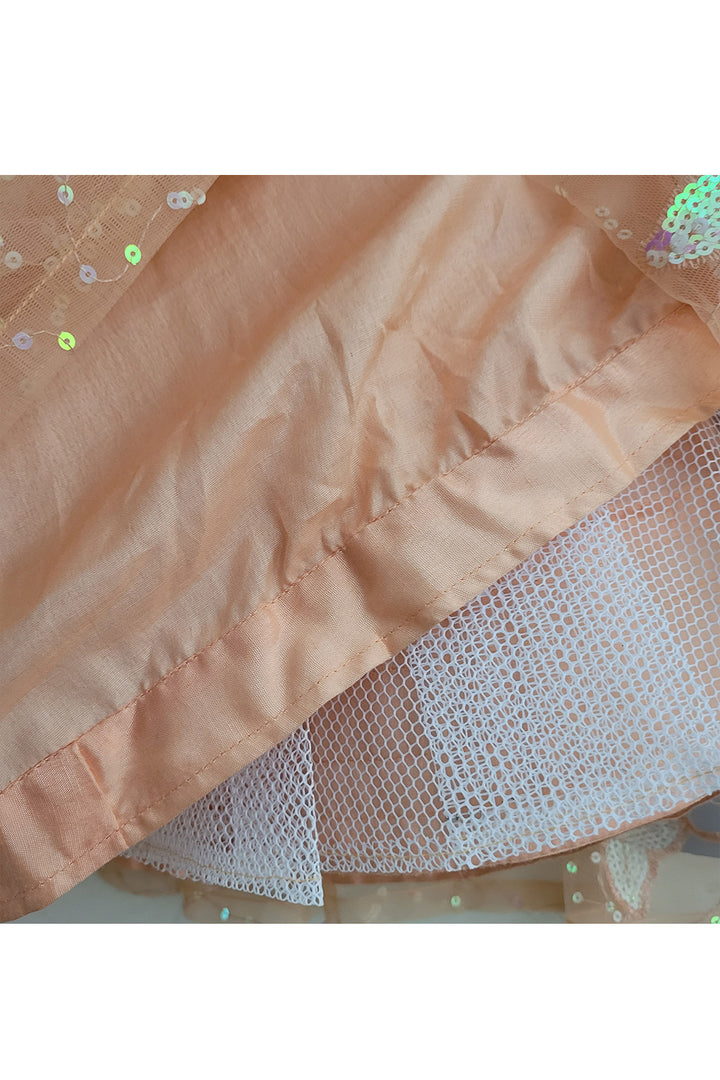 Peach Butterfly Sequins Embroidered Top With Lehenga Set