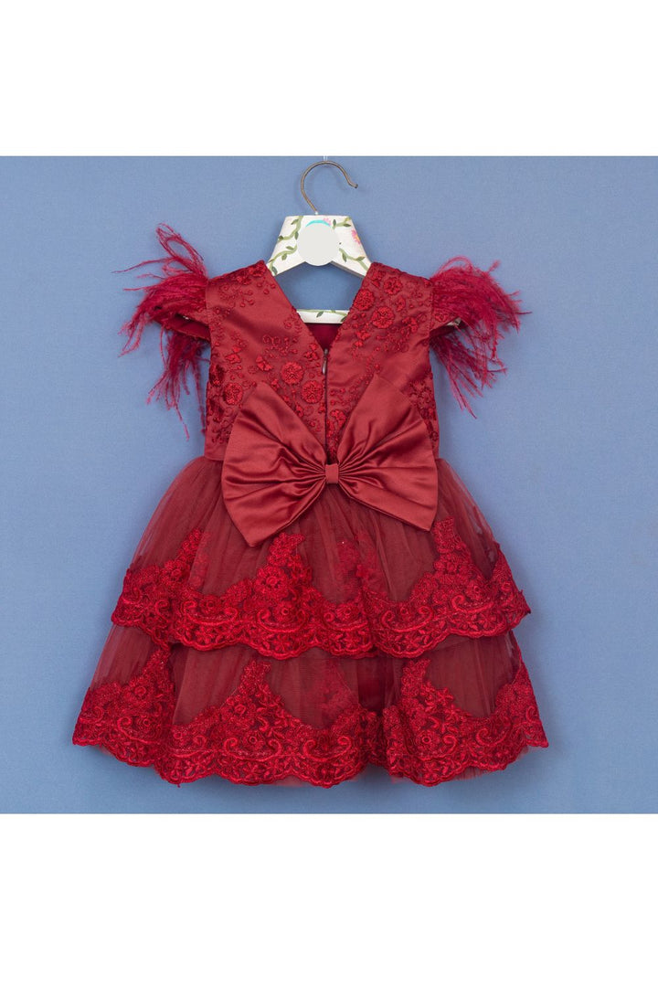 Maroon Embroidered Feather Detailing Net Dress