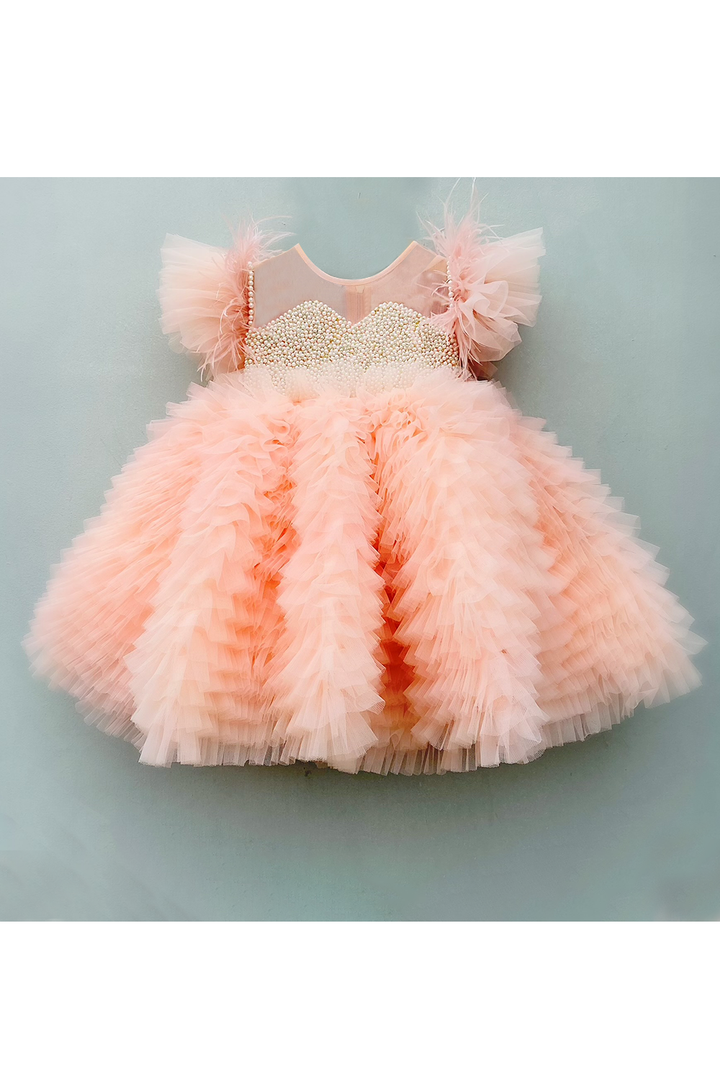 Pearl detailing yoke with feather sleeves dress