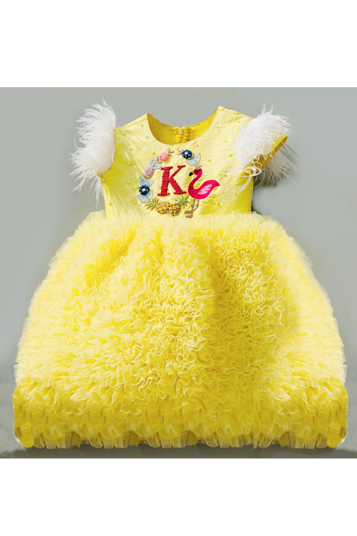 Designer Dresses for Girls, Designer Dresses for Baby Girls, Designer Partywear Dresses for Girls, Party Dresses for Girls, Smart Partywear Dresses for Girls, Designer Party Dresses for Girls