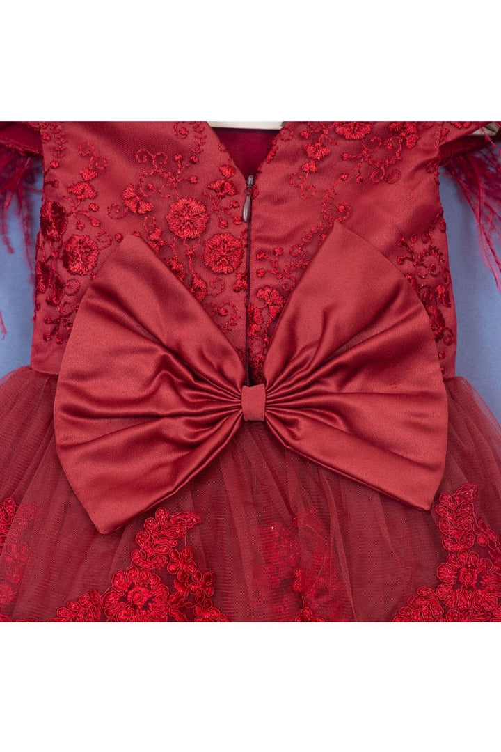 Maroon Embroidered Feather Detailing Net Dress