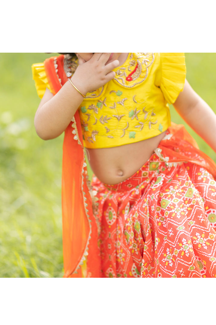 Ikkat printed lehenga with hand embroidered choli set