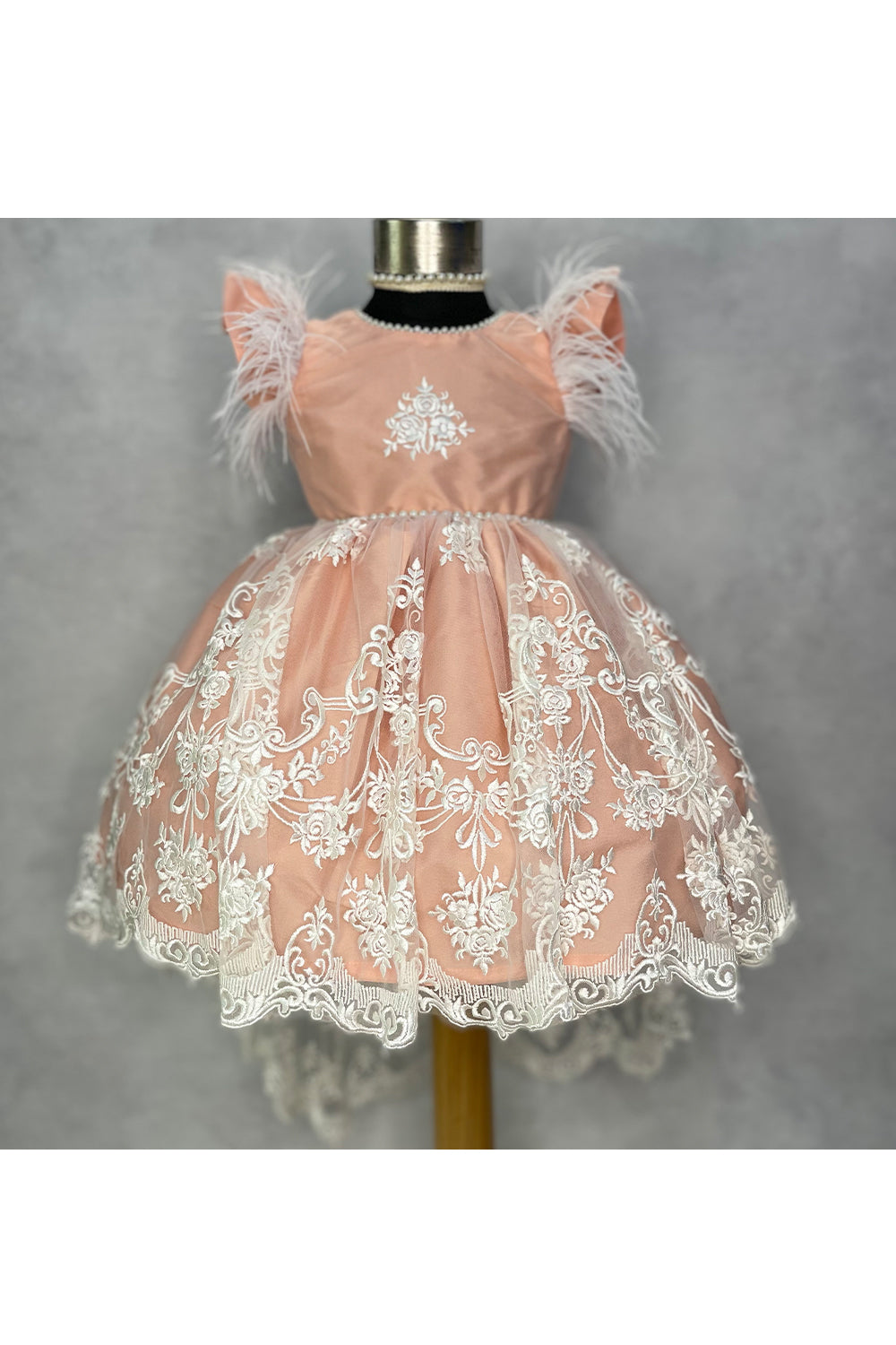 Peach and white embroidered net high low dress