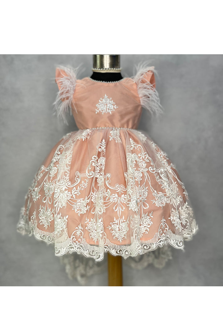 Peach and white embroidered net high low dress