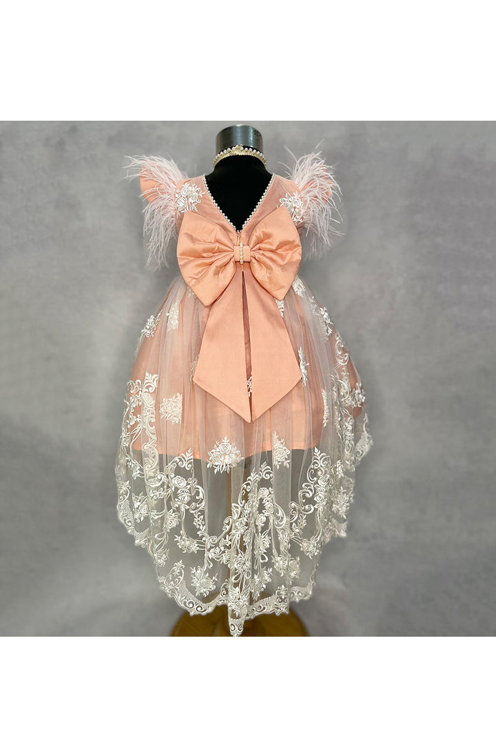 Peach and white embroidered net high low dress