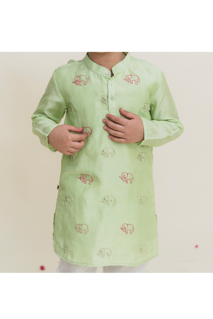 Elephant katha embroidered kurta pant set