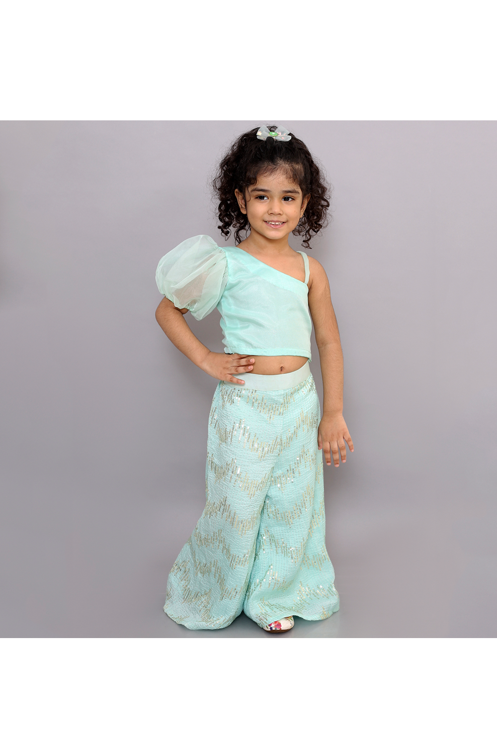 Light blue crop top and silk sequins palazzo