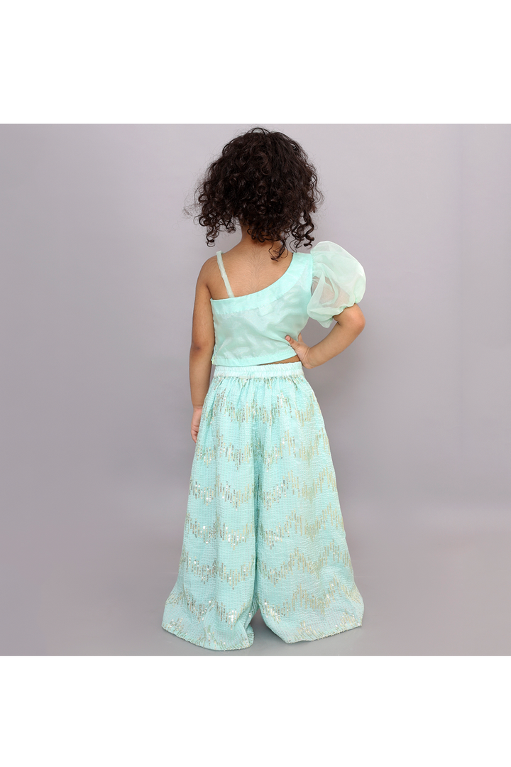 Light blue crop top and silk sequins palazzo