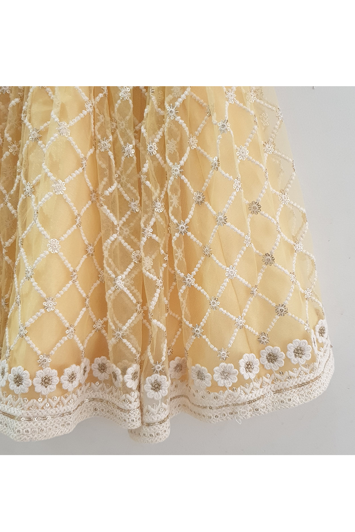 Pastel yellow embroidered work choli and lehenga
