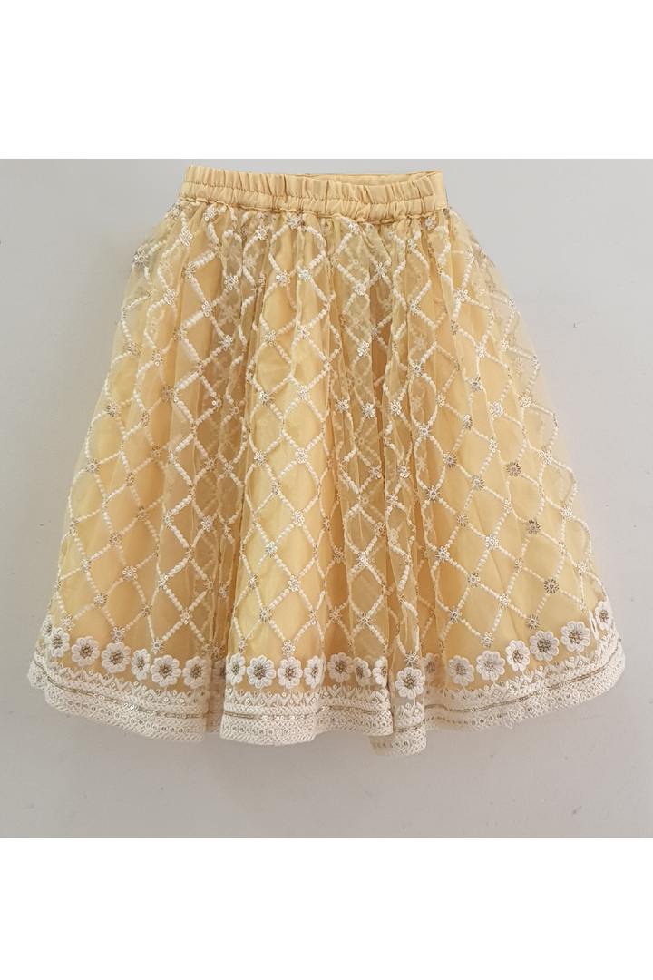 Pastel yellow embroidered work choli and lehenga