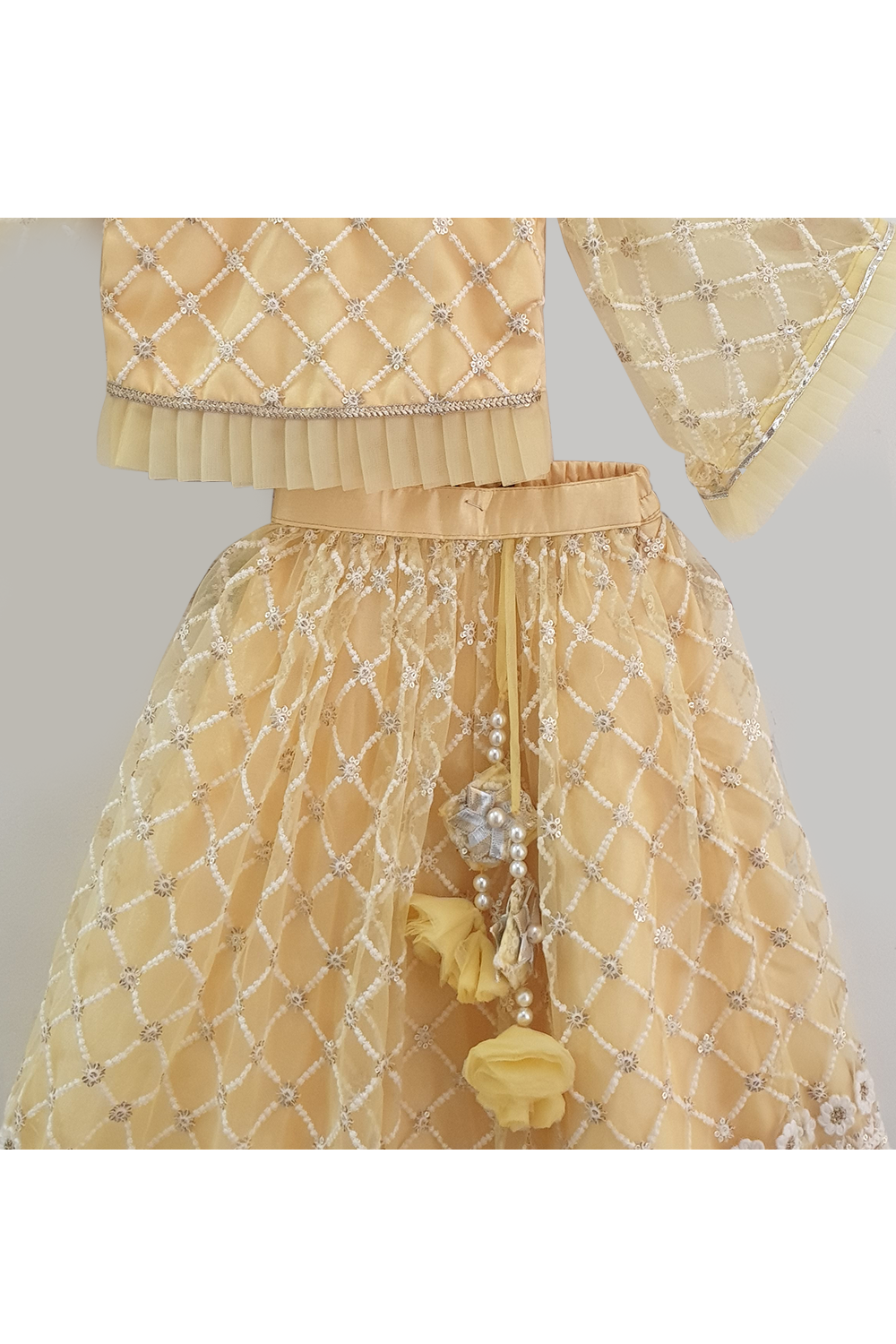 Pastel yellow embroidered work choli and lehenga