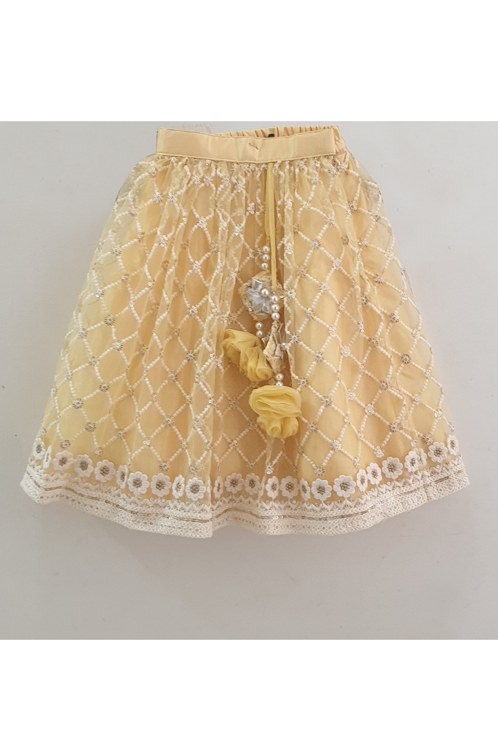 Pastel yellow embroidered work choli and lehenga