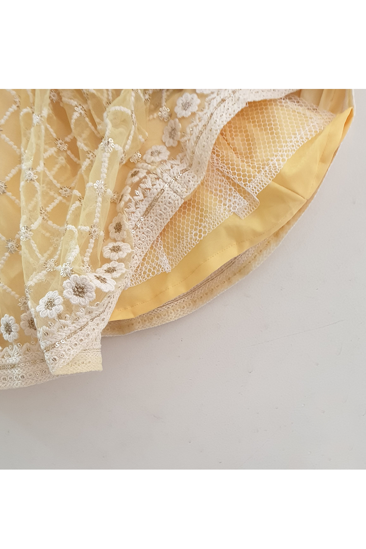Pastel yellow embroidered work choli and lehenga