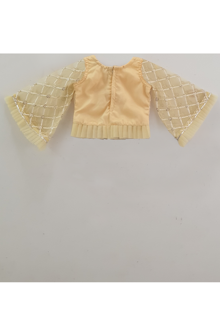 Pastel yellow embroidered work choli and lehenga